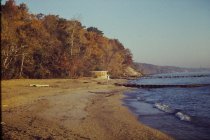 View north along the beach
